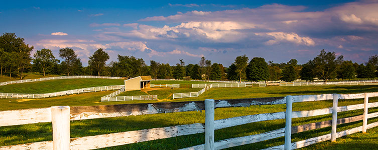 large green field for horses with white fencing